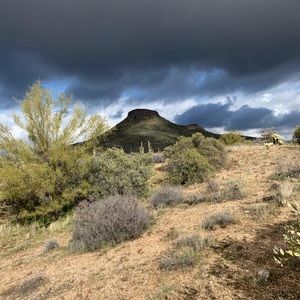 Meet your Posher, Maren